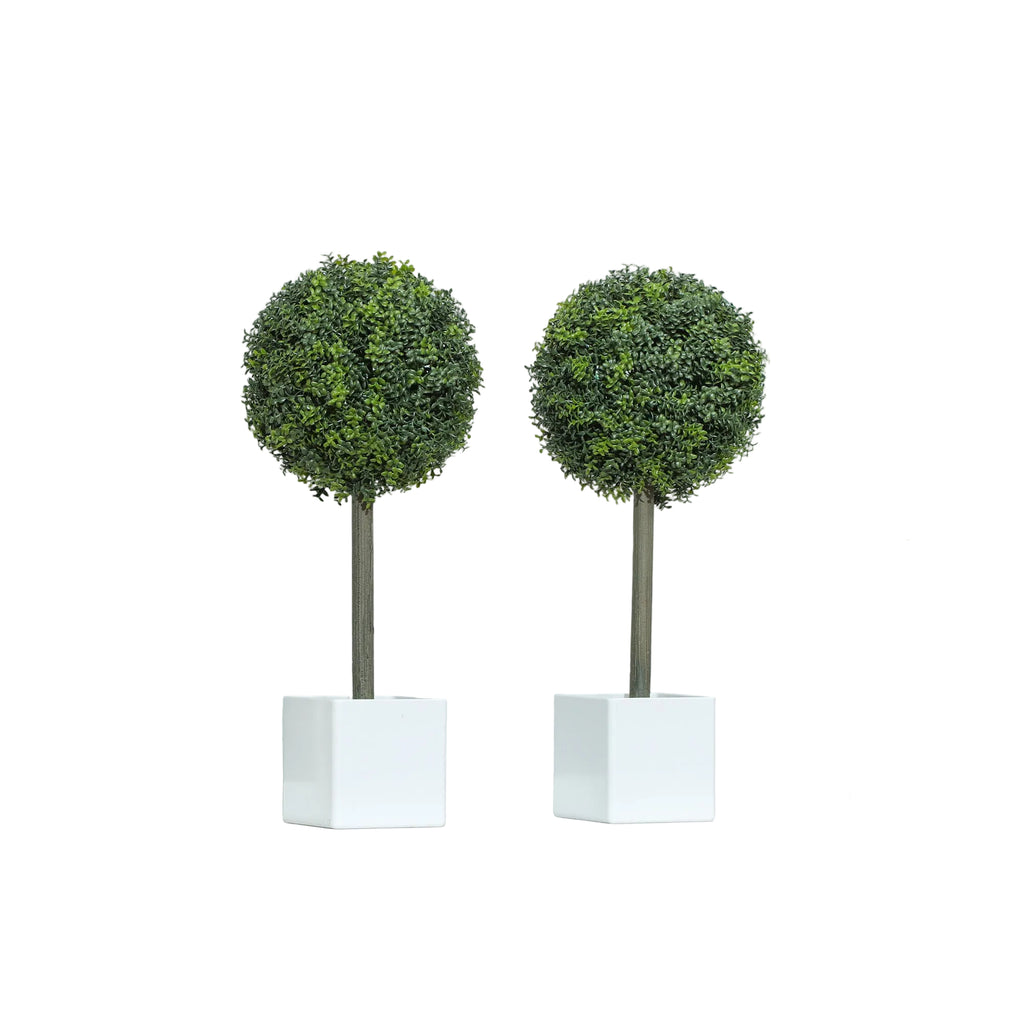 Artificial Boxwood Topiary Trees in White Pots