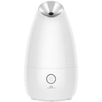 Best Nano Ionic Facial Steamer