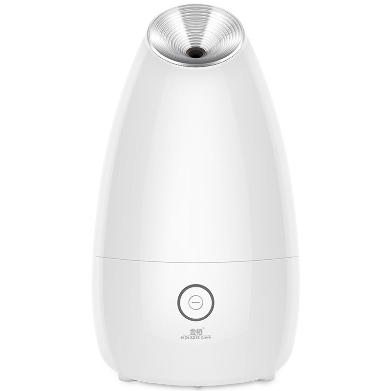 Best Nano Ionic Facial Steamer