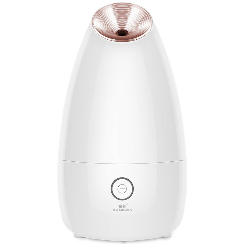 Best Nano Ionic Facial Steamer