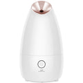 Best Nano Ionic Facial Steamer