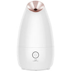 Best Nano Ionic Facial Steamer