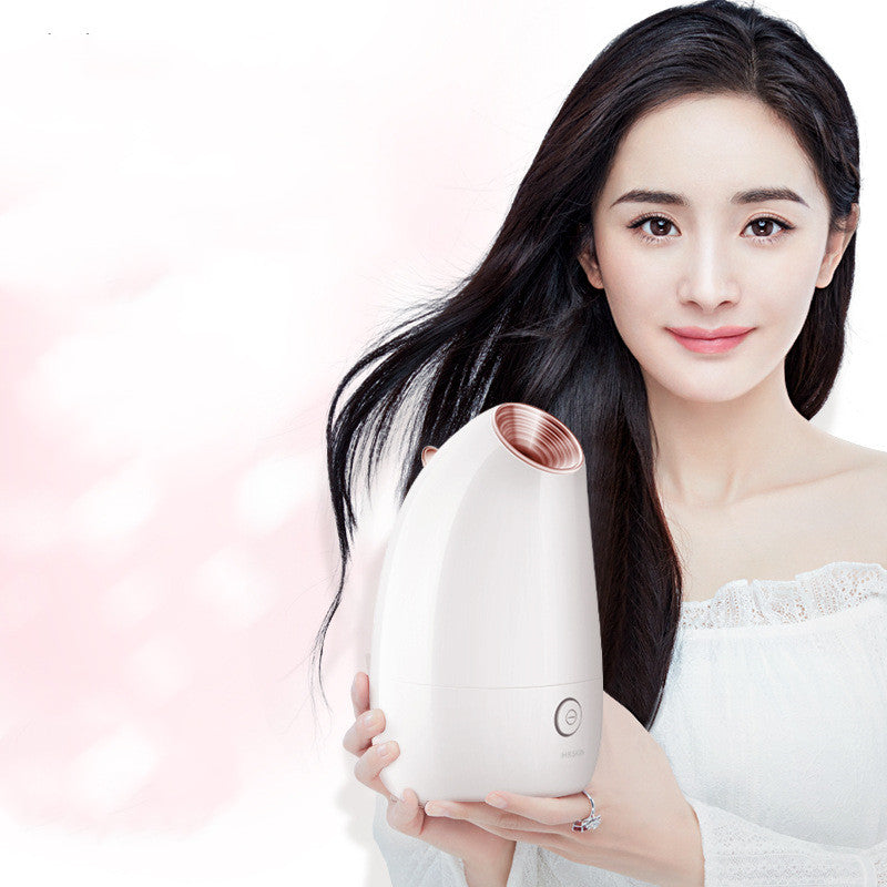 Best Nano Ionic Facial Steamer