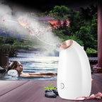 Best Nano Ionic Facial Steamer