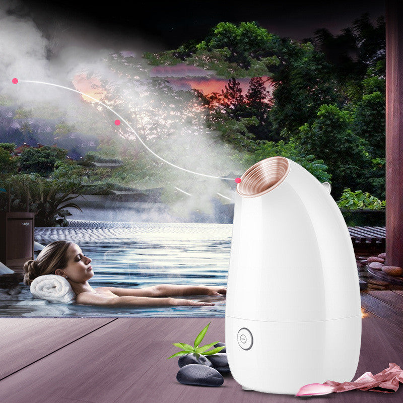 Best Nano Ionic Facial Steamer
