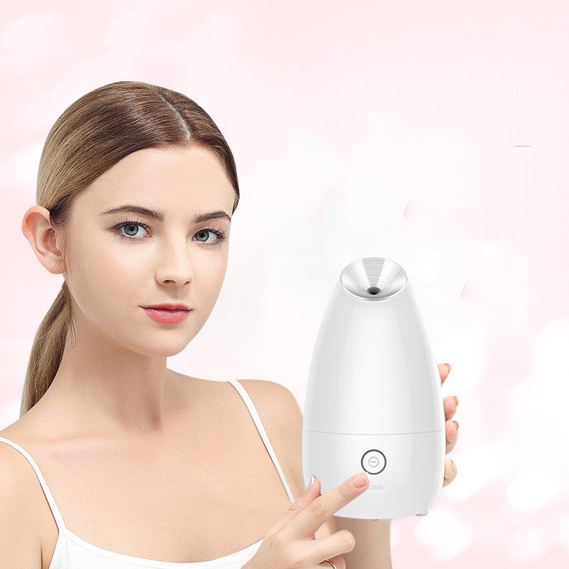 Best Nano Ionic Facial Steamer