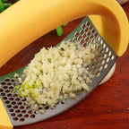 Stainless Steel Garlic Masher | Garlic Press