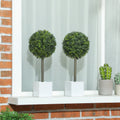 Artificial Boxwood Topiary Trees in White Pots