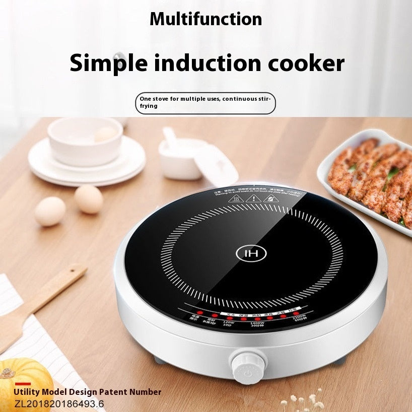 Multi-functional Mini Induction Cooker