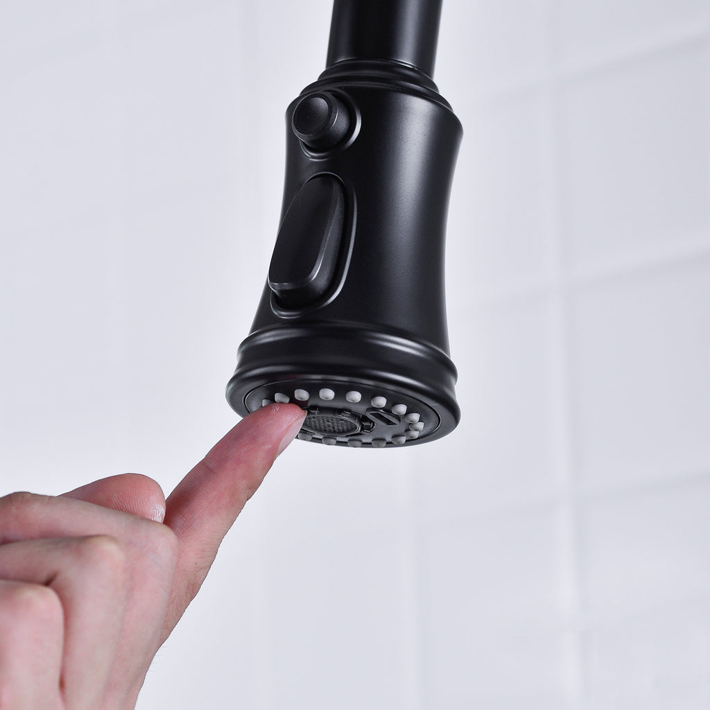 Bridge Kitchen Faucet with a Pull-down Sprayhead