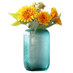 Simple American Transparent Flower Vase