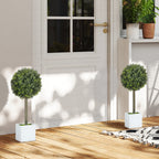 Artificial Boxwood Topiary Trees in White Pots