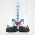 Coccyx Seat Cushion