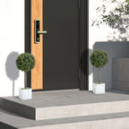 Artificial Boxwood Topiary Trees in White Pots