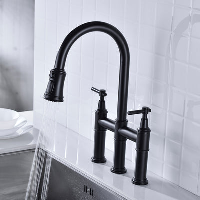 Pull Down Dual Handle Kitchen Faucet